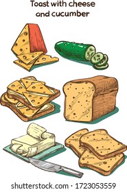 Vector color sketch toast with cheese and cucumber