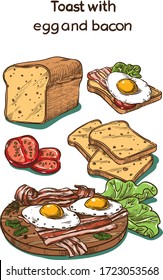 Tosta de dibujo en color vectorial con huevo y tocino 
