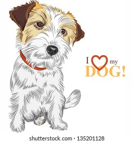 Vector color sketch of the wire-haired dog Jack Russell Terrier breed