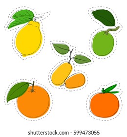 Vector color sticker set of citrus. Lemon, orange, mandarin, lime kumquat. In vintage style