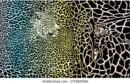 vector color stylized illustration of giraffe and leopard