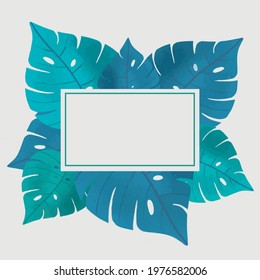 Vector color summer illustration of green monstera palm leaf frame for social media