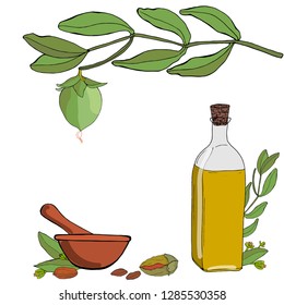 Vector color template of hand drawn
jojoba elements. Jojoba essential oil. Oil bottles, branches, leaves, seeds, fruits, flowers, inflorescences, mortar and pestle.