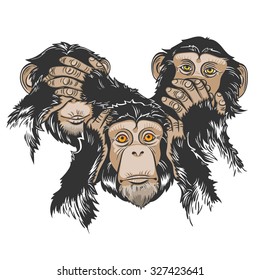 Vector Color Three Monkey Illustration