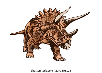 Vector color triceratops isolated on white background, graphical illustration of dinosaur