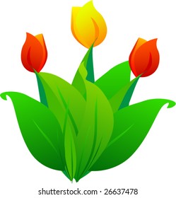 Vector color tulip flowers.