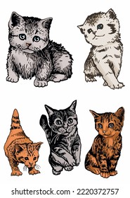 Vector  color two cats,graphical drawing of domestic pets,illustration for design and books