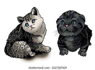 Vector color two cats,graphical drawing of domestic pets,illustration for design and books