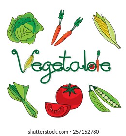Vector color vegetables icon