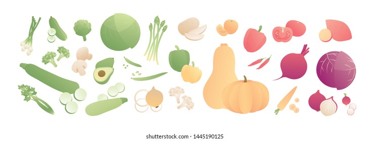 Vector color vegetables poster. Creative modern style flat illustration of vegetable sorted by color isolated on white background. Design for banner, poster, web, vegetarian, summer menu, vitamin
