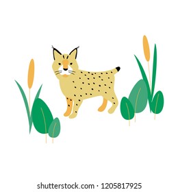 vector color wild lynx big cat animal card cartoon doodle pattern simple childish design for textile paper