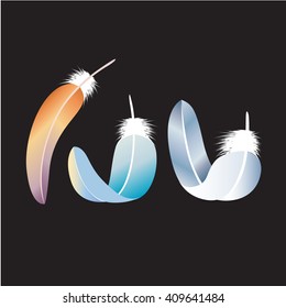 the vector color wings on black