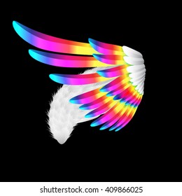 the vector color wings on black