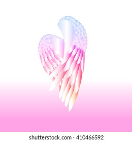 the vector color wings on pink background