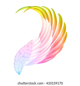 the vector color wings on white background