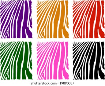 vector color zebra skin set