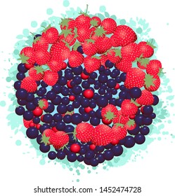 vector colored berries strawberry currant illustration circle