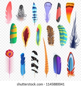 Vector colored bird feathers isolated on the alpha transperant background. Stylized feathers set.