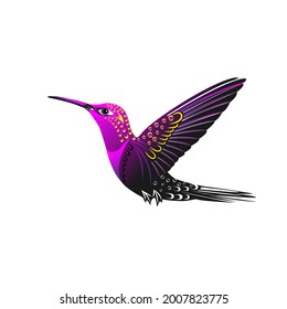 Vektorfarbener Vogel-Kolibris auf transparentem Hintergrund