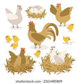 Vector colored chickens, chickens and chicken eggs. An illustration of doodles isolated on a white background. A set of birds for Easter, decor, invitation, postcards.