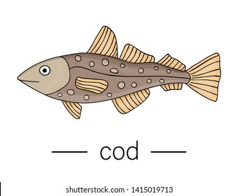 Vector colored cod. Cartoon style sea fish icon. Underwater illustration
