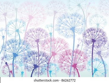 Vector colored dandelions on a blue background