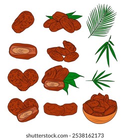 vector colored dates with transparent background