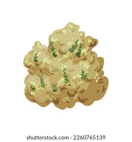 Vector of colored detailed bushes. Landscape elements isolated on white background.