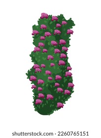 Vector of colored detailed bushes. Landscape elements isolated on white background.