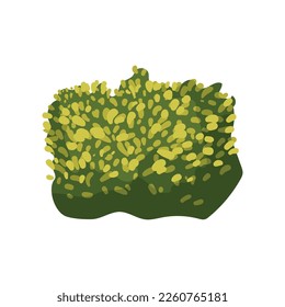 Vector of colored detailed bushes. Landscape elements isolated on white background.