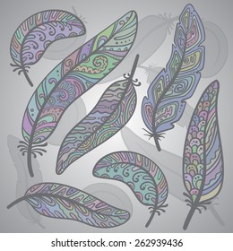 Vector colored feathers set. Bird feathers painted in colorful patterns                           