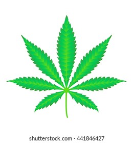 vector colored flat design cannabis marijuana leaf realistic illustration isolated white background