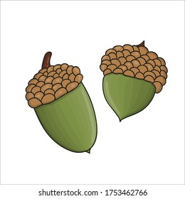 Vector colored green oak acorn icon isolated on white background. Tree greenery botanical illustration. Cartoon style autumn picture