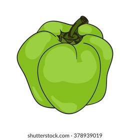 Vector Colored Green Sweet Bulgarian Bell Pepper, 
Paprika Isolated on White Background. Fresh organic pepper 