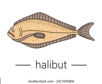 Vector Colored Halibut. Cartoon Style Sea Fish Icon. Underwater Illustration