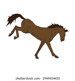 Vector colored hand drawn doodle sketch horse kicking isolated on white background