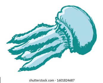 Vector, colored, hand drawn sketch of jellyfish. Grunge style. Motives of marine and underwater life, wildlife