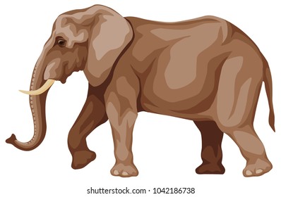 vector colored illustration of an African elephant walking. side view