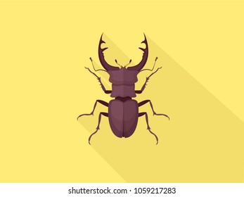 Vector colored illustration of an enlarged deer beetle on yellow background. Large insects.