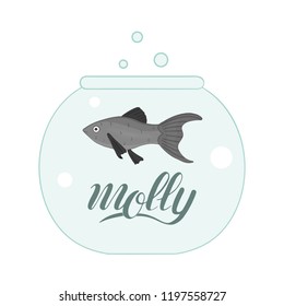 Vector colored illustration of fish in aquarium with fish name lettering. Cute picture of molly for pet shops or children illustration