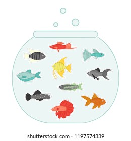 Vector colored illustration of fish stickers in aquarium. Cute picture of molly,guppy,platyfish,goldfish,danio,scalare,cichlasoma,ancistrus,gourami for pet shops or children illustration