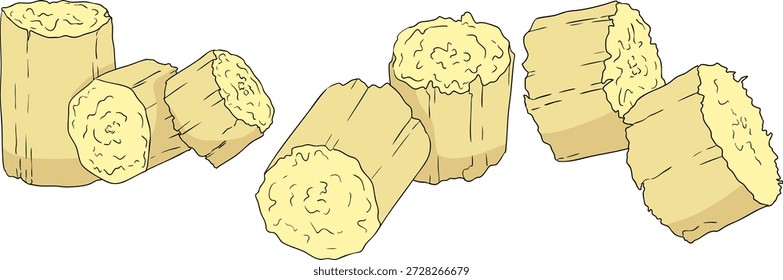 Vector colored illustration of fresh cut sugarcane pieces, juicy sugar cane stalks slices showing fibrous sweet interior, tropical street food snack, natural raw cane sugar, exotic refreshment, isolated on white