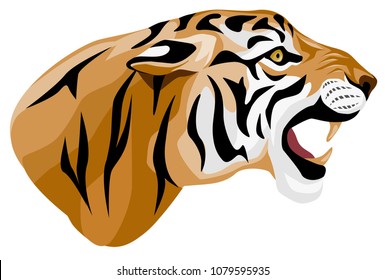 vector colored illustration - head of a banded striped tiger. side view