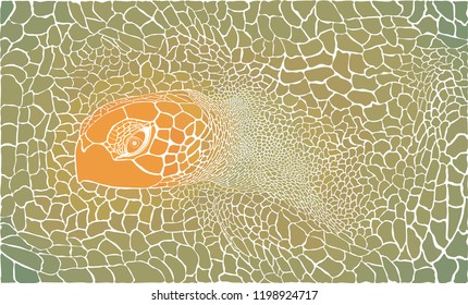 vector colored illustration pattern of turtle skins and head