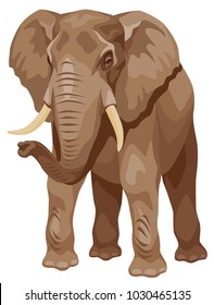 vector colored illustration of a standing African elephant. front view