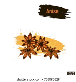 Vector colored image, anise. Sketch spice, iImitation of ink.