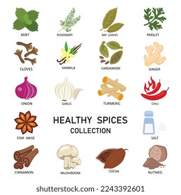 vector colored  Indian spices set.

