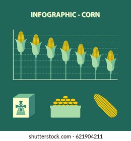 vector colored infographic declining production of corn - info graph in flat design with icon of flour, bowl with grains and yellow maize ear on green background 
