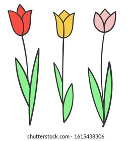 Vector colored isolated images of an abstract Tulip on a white background. Hand-drawn Tulip flowers. Print on clothes, for decoration, decoration