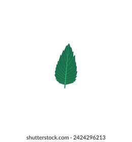 vector colored leaf elements leaf